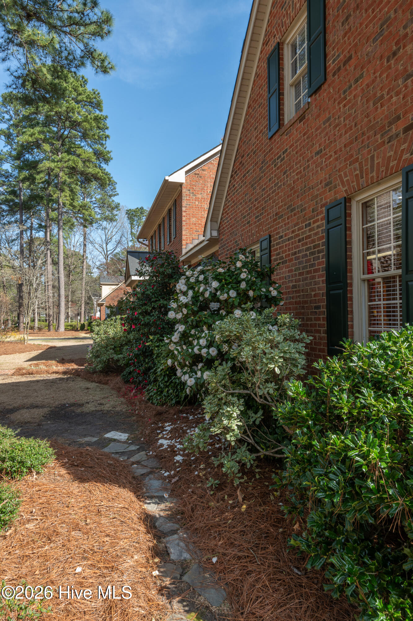 312 Pinewood Road Greenville, NC 27858 - Photo 84 of 87 312PINEWOOD_84