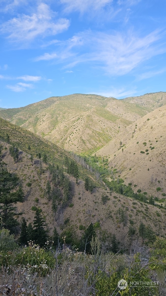 1 Mills Canyon Road Entiat, WA 98822 - Photo 3 of 7 Gallery Image 3