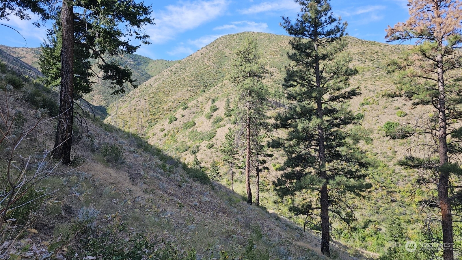 1 Mills Canyon Road Entiat, WA 98822 - Photo 4 of 7 Gallery Image 4