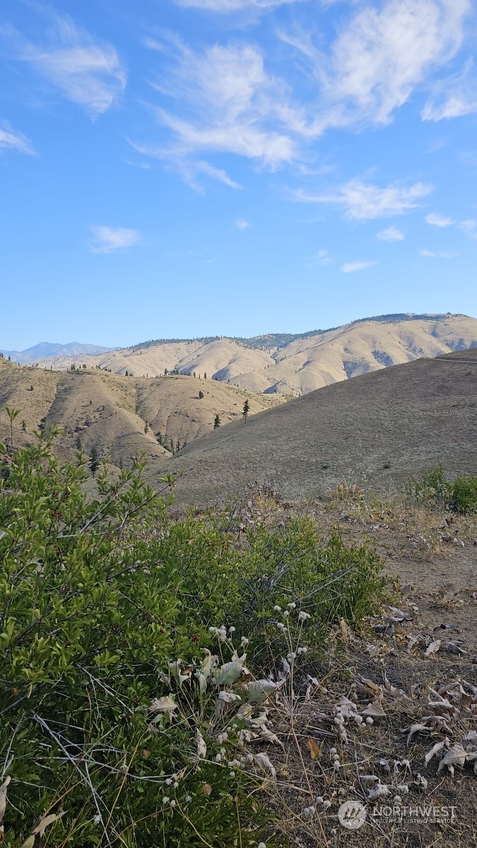 1 Mills Canyon Road Entiat, WA 98822 - Photo 5 of 7 Gallery Image 5