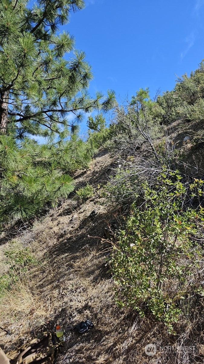 1 Mills Canyon Road Entiat, WA 98822 - Photo 6 of 7 Gallery Image 6