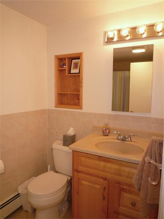 9 Bridge Street Lexington, MA 02421 - Photo 13 of 20 a bathroom with a sink a toilet and mirror