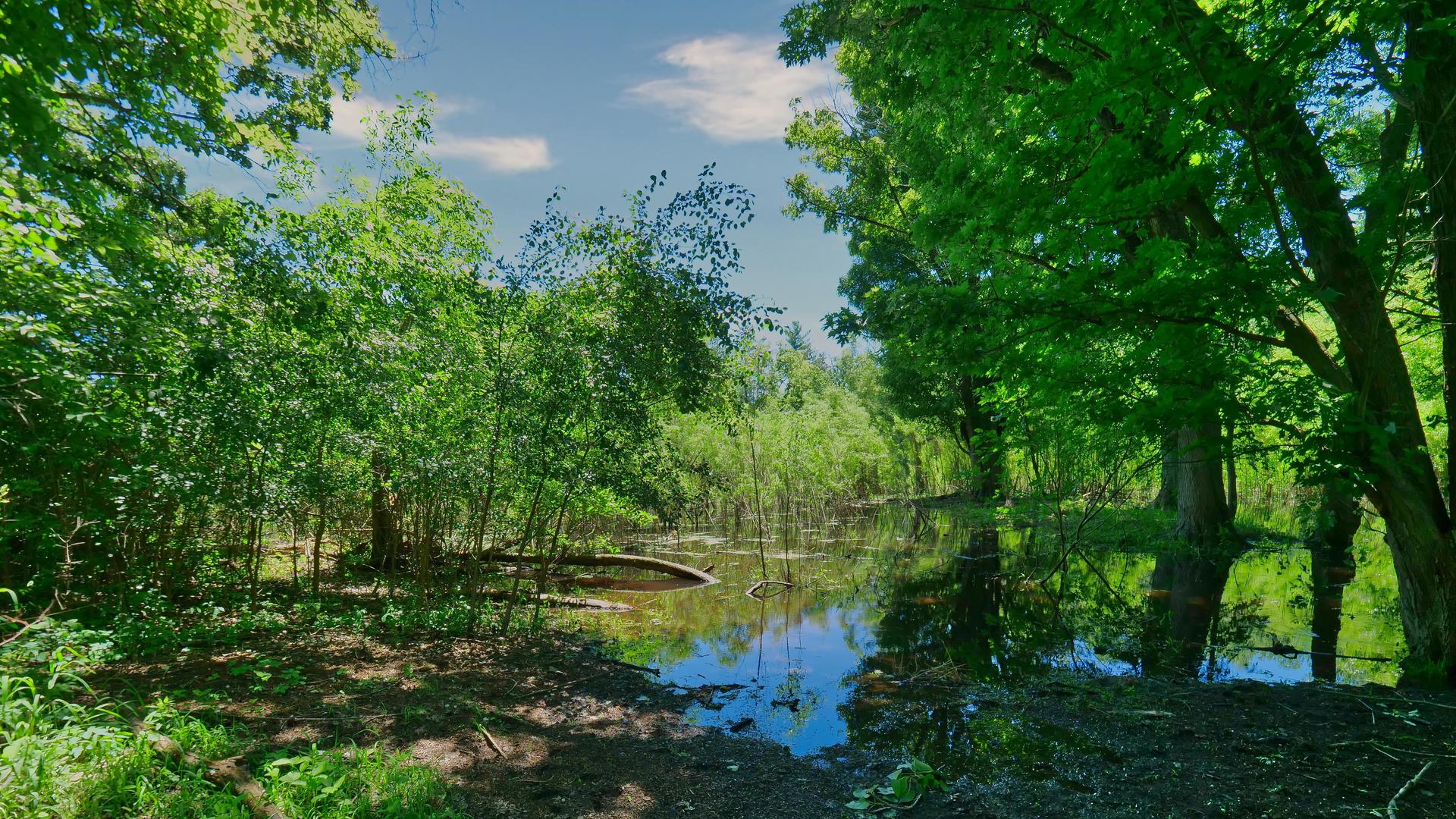 708 South Rose Farm Road Woodstock, IL 60098 - Photo 88 of 104