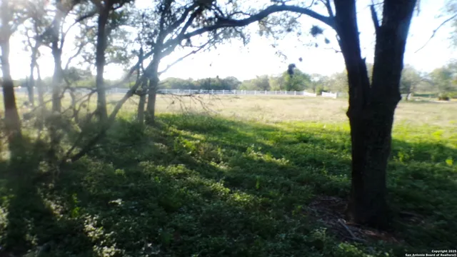 a view of yard with trees