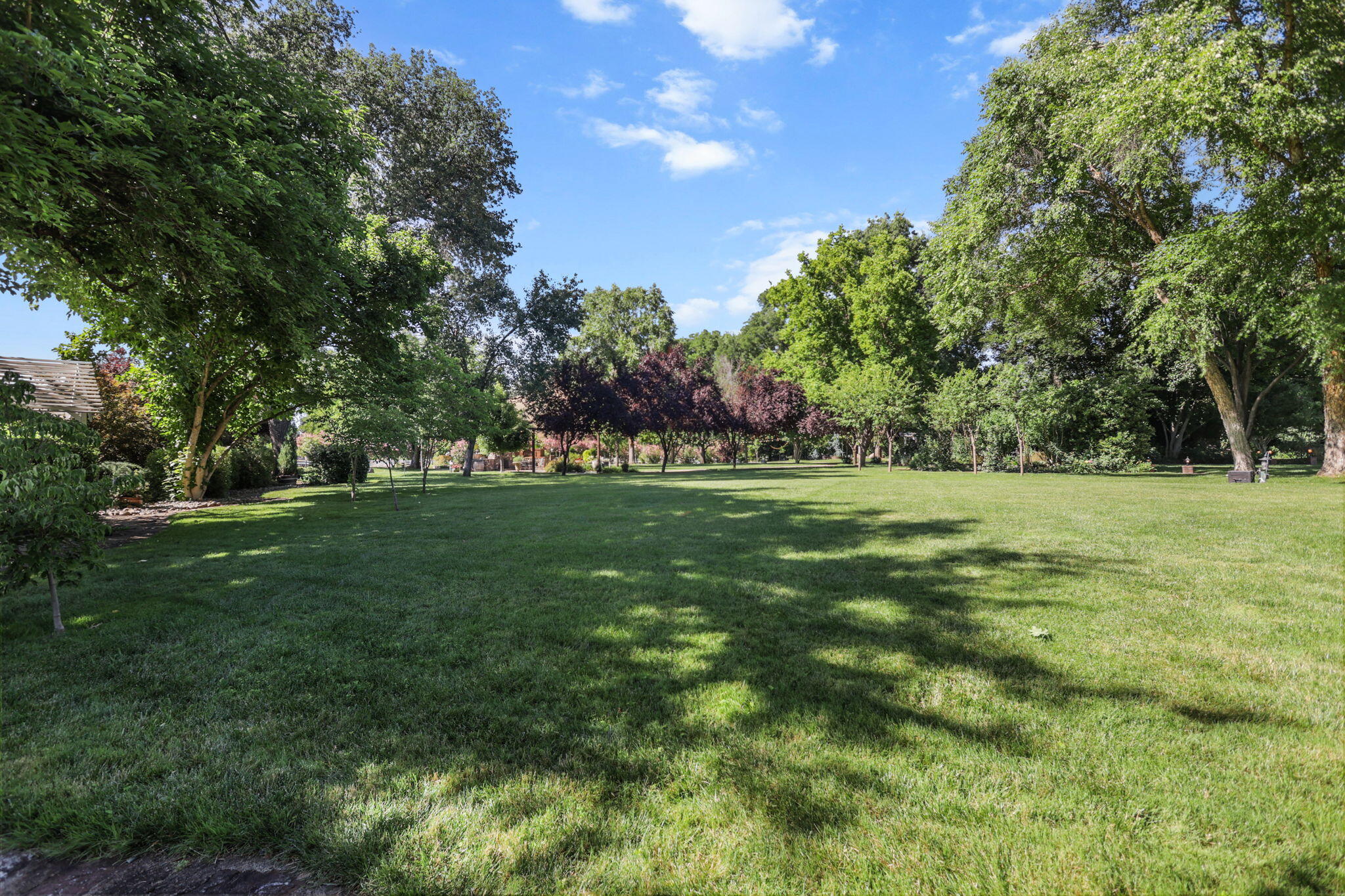 3776 Gover Road Anderson, CA 96007 - Photo 130 of 262 136-web-or-mls-8Q0A5171