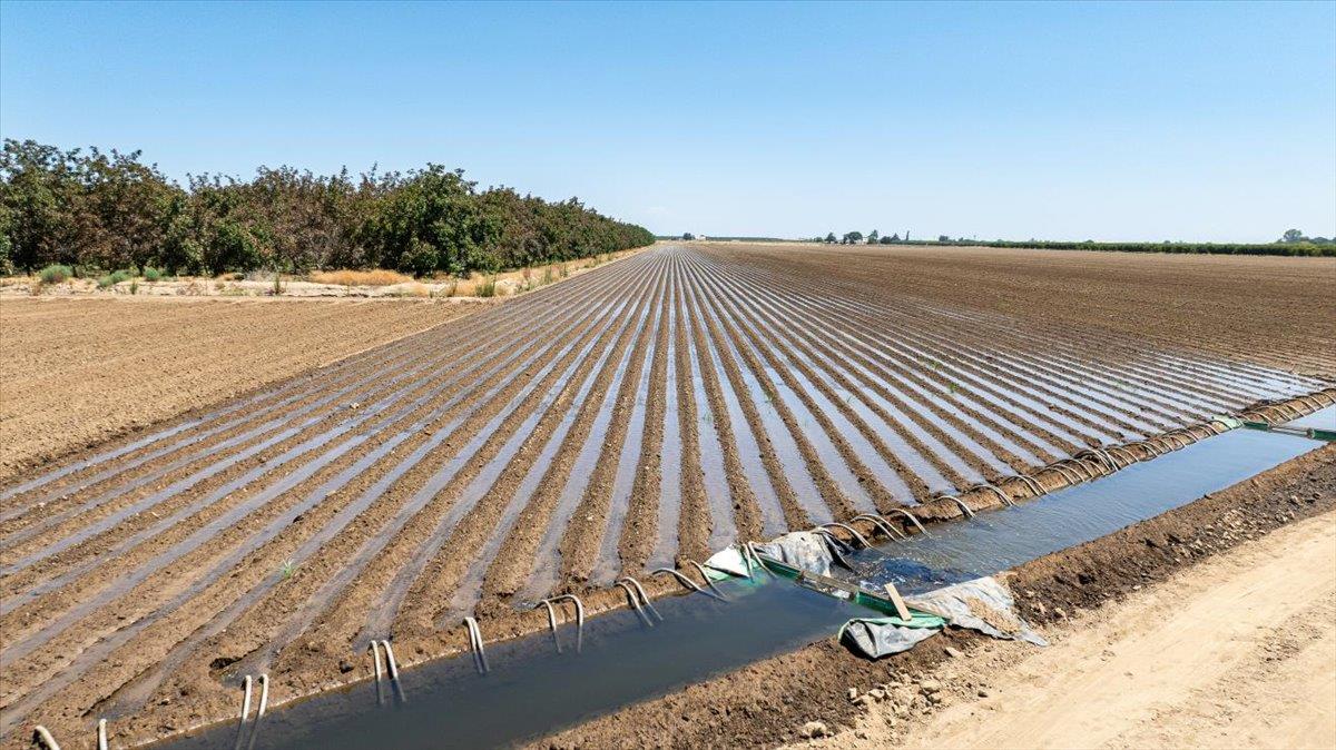 0 Schmidt Road Gustine, CA 95322 - Photo 26 of 33 a view of a backyard