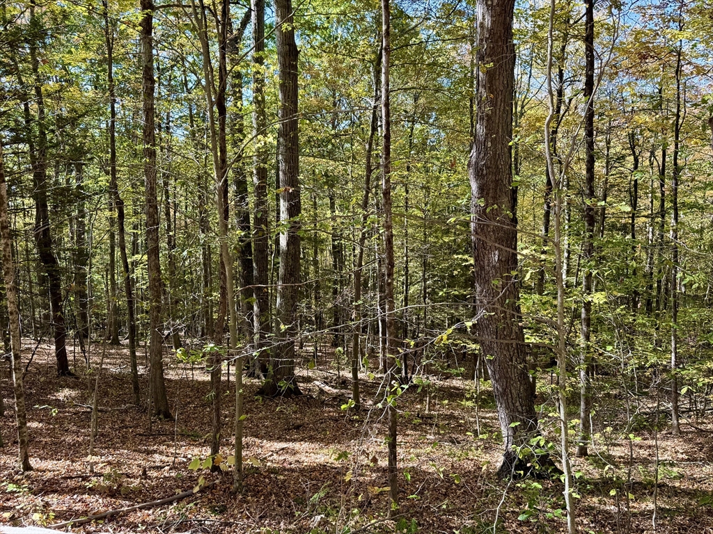 0 Potters Road Extension Charlemont, MA 01339 - Photo 2 of 5