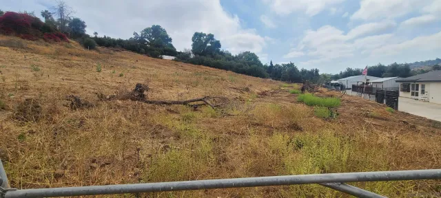 a view of a yard with wooden fence