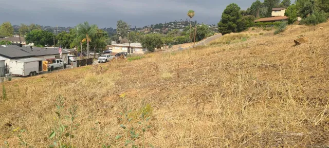 a view of outdoor space and yard