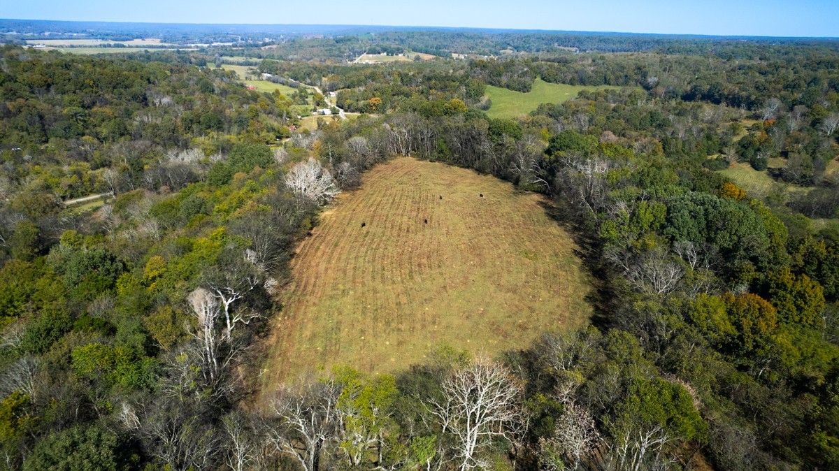 1121 Rolin Hollow Road Ardmore, TN 38449 - Photo 38 of 46 an aerial view of a residential houses with trees in the background