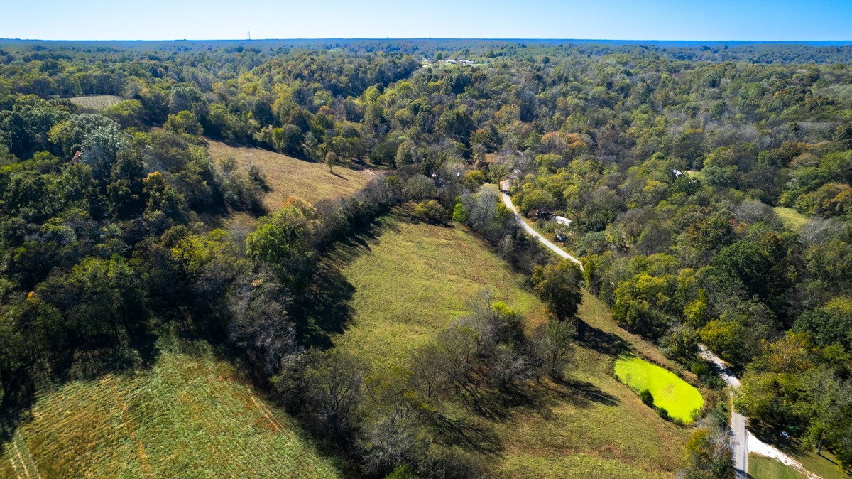 1121 Rolin Hollow Road Ardmore, TN 38449 - Photo 45 of 46 a view of a forest with a forest