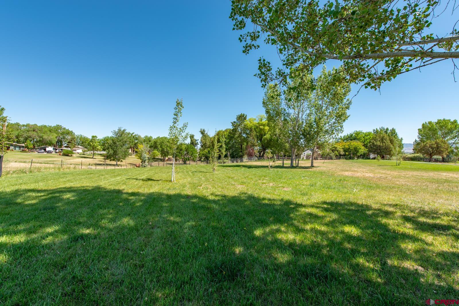 59959 Spring Creek Road Montrose, CO 81403 - Photo 7 of 42
