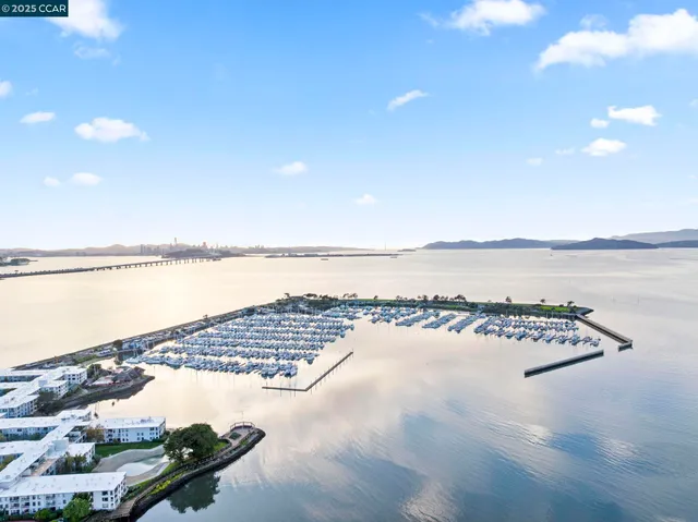 a view of a lake with boats and trees in the background