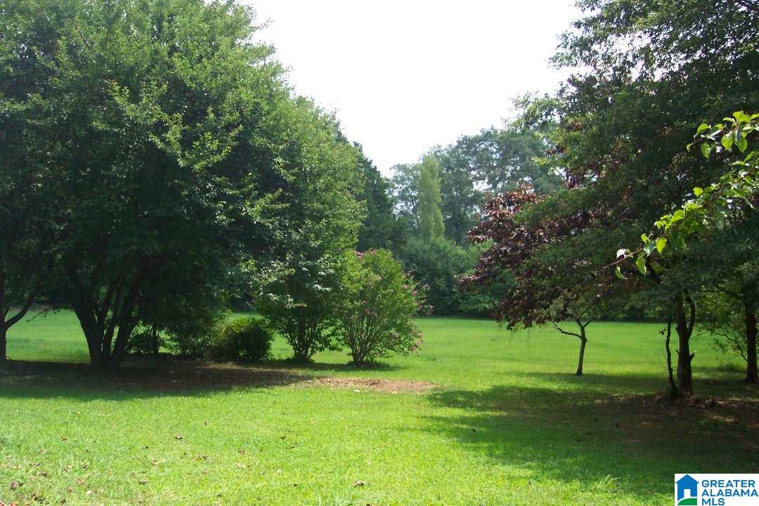 9945 Old Springville Road Trussville, AL 35173 - Photo 22 of 27