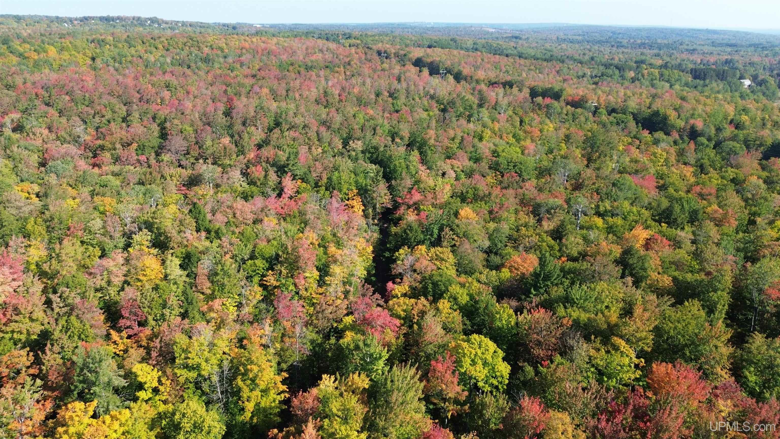 Tbd Tbd Baltic Onkalos Corner Road South Range, MI 49963 - Photo 2 of 37