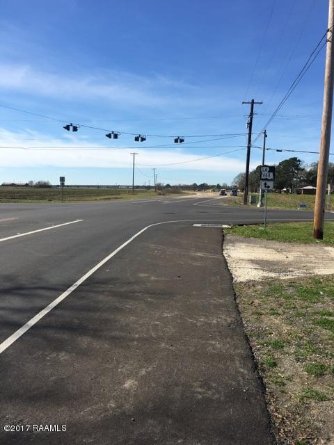 0 Monnot Road Jeanerette, LA 70544 - Photo 3 of 7 IMG_7180