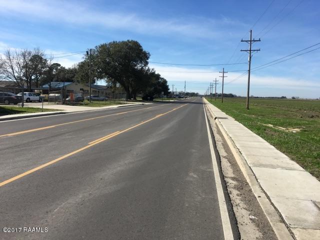0 Monnot Road Jeanerette, LA 70544 - Photo 5 of 7 IMG_7182