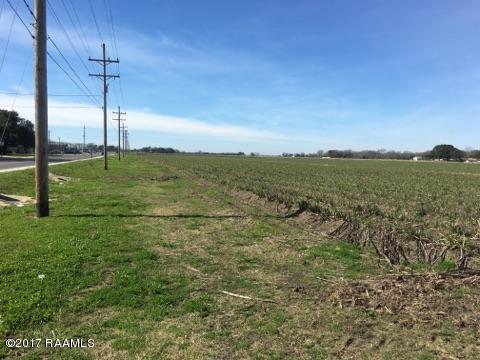 0 Monnot Road Jeanerette, LA 70544 - Photo 6 of 7 IMG_7183