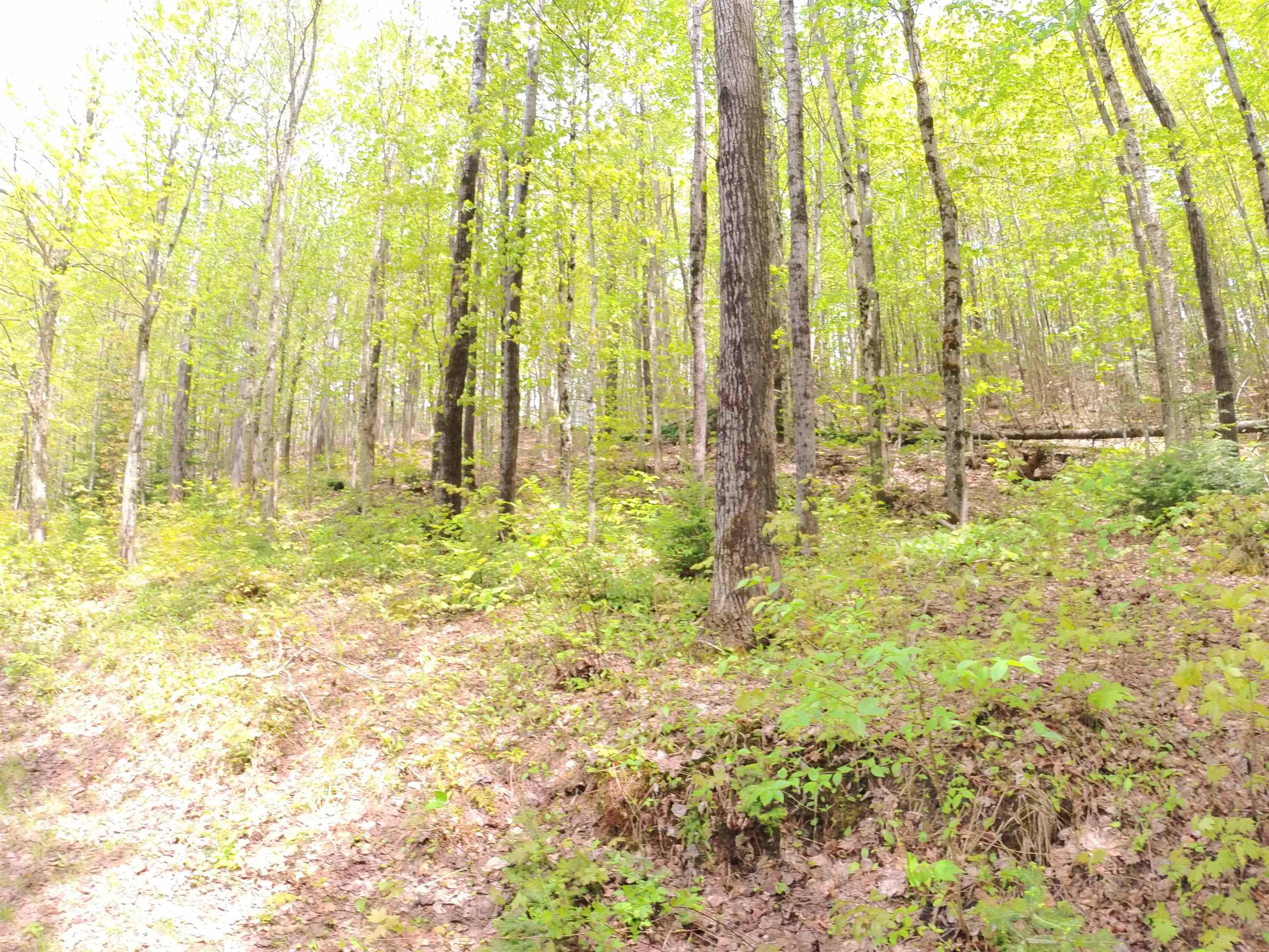 763 Hunting Camp Road Holland, VT 05830 - Photo 4 of 36