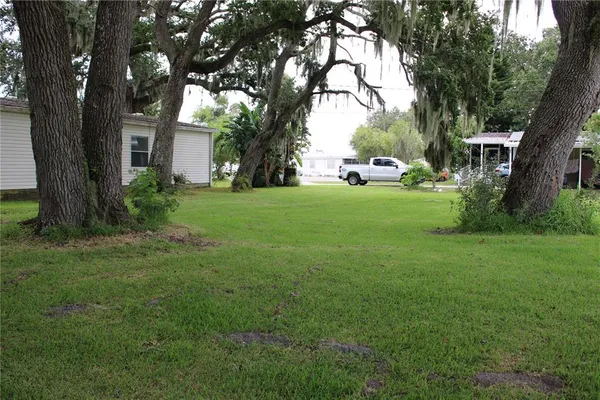 a white house that has a tree in front of a house