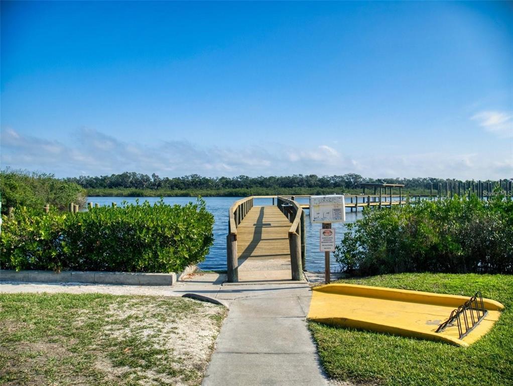 160 Red Bass Lane Edgewater, FL 32141 - Photo 6 of 10 a view of a swimming pool and trees in the background
