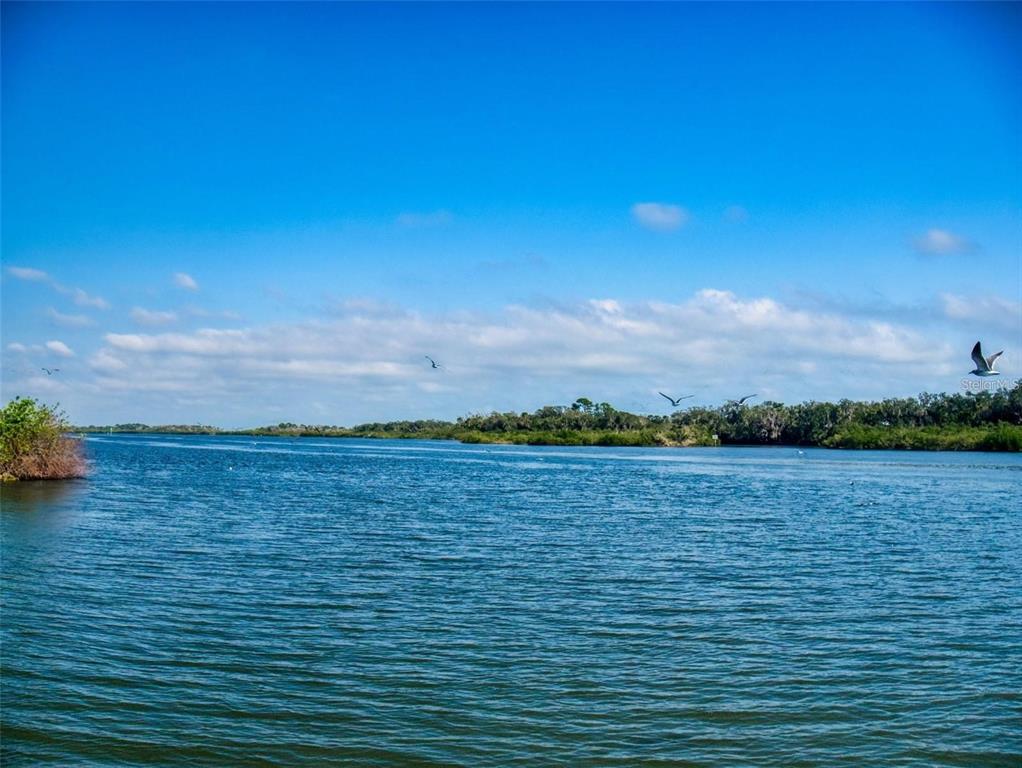 160 Red Bass Lane Edgewater, FL 32141 - Photo 7 of 10