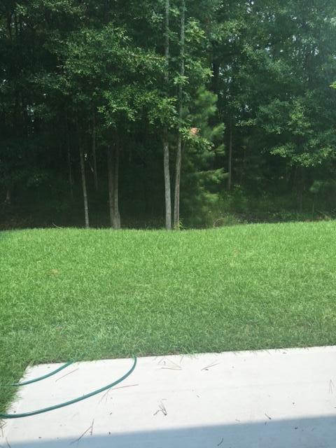 4855 Rocking Porch Lane Summerville, SC 29485 - Photo 2 of 33 IMG_2965