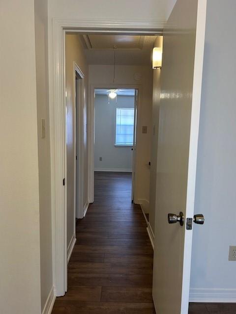 4301 Florida Avenue, Unit D Kenner, LA 70065 - Photo 15 of 25