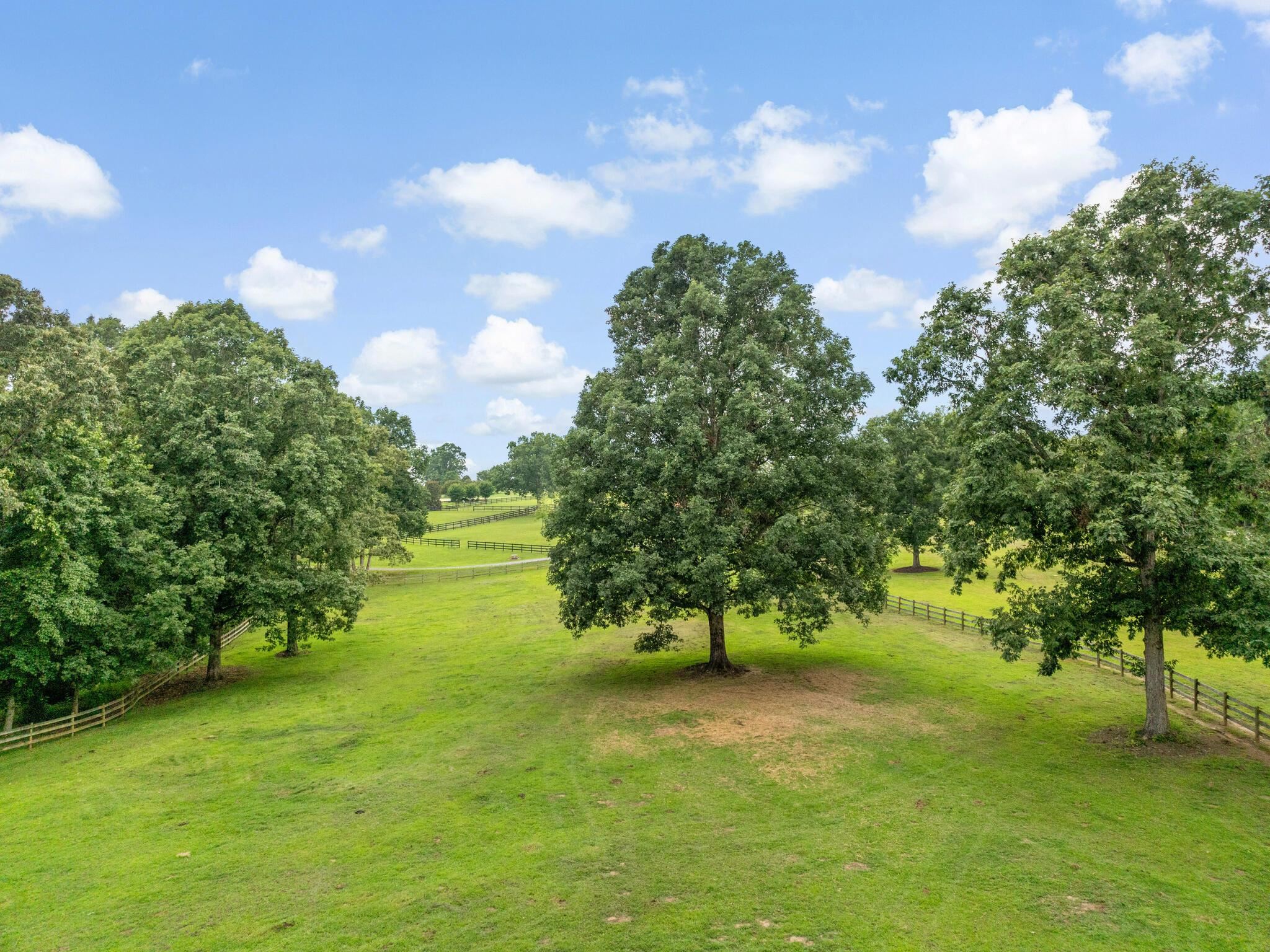180 Kelseys Mill Road Campobello, SC 29322 - Photo 12 of 37