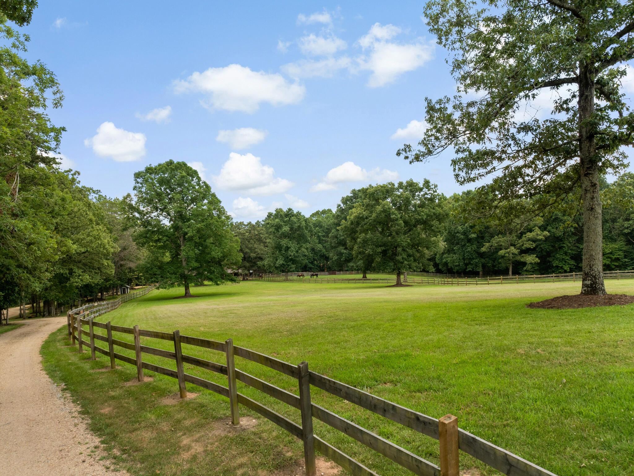 180 Kelseys Mill Road Campobello, SC 29322 - Photo 4 of 37