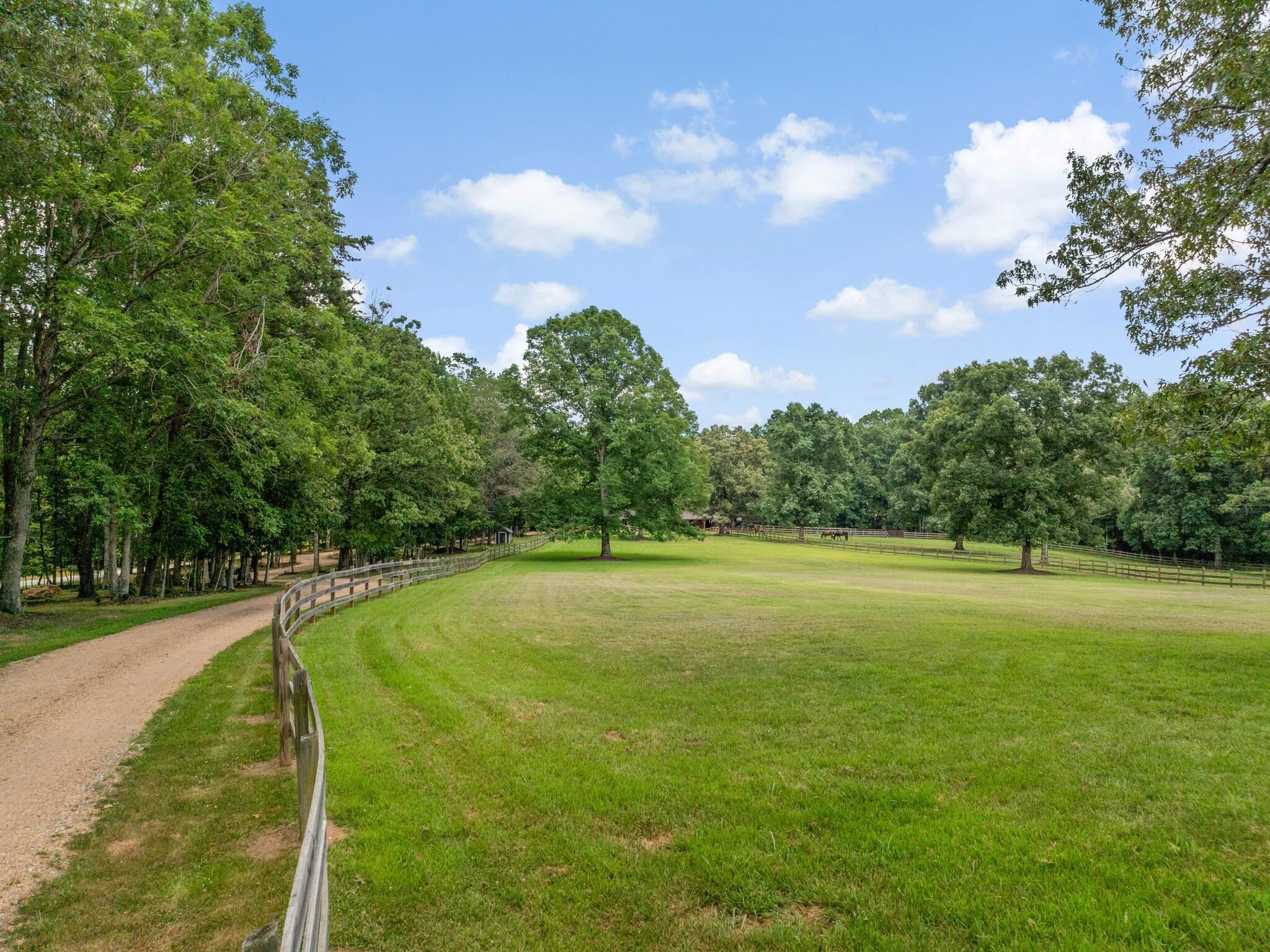 180 Kelseys Mill Road Campobello, SC 29322 - Photo 5 of 37
