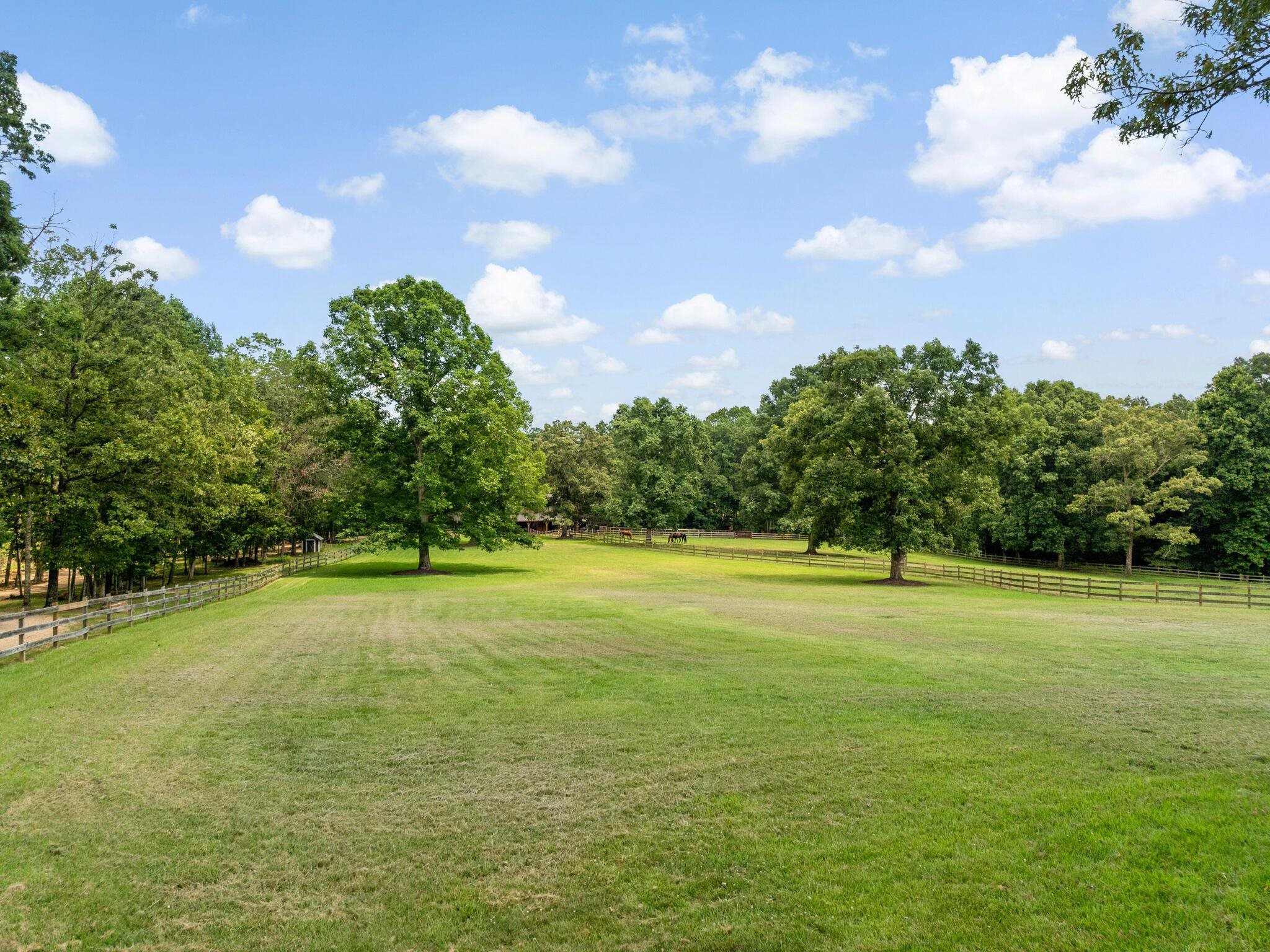180 Kelseys Mill Road Campobello, SC 29322 - Photo 6 of 37