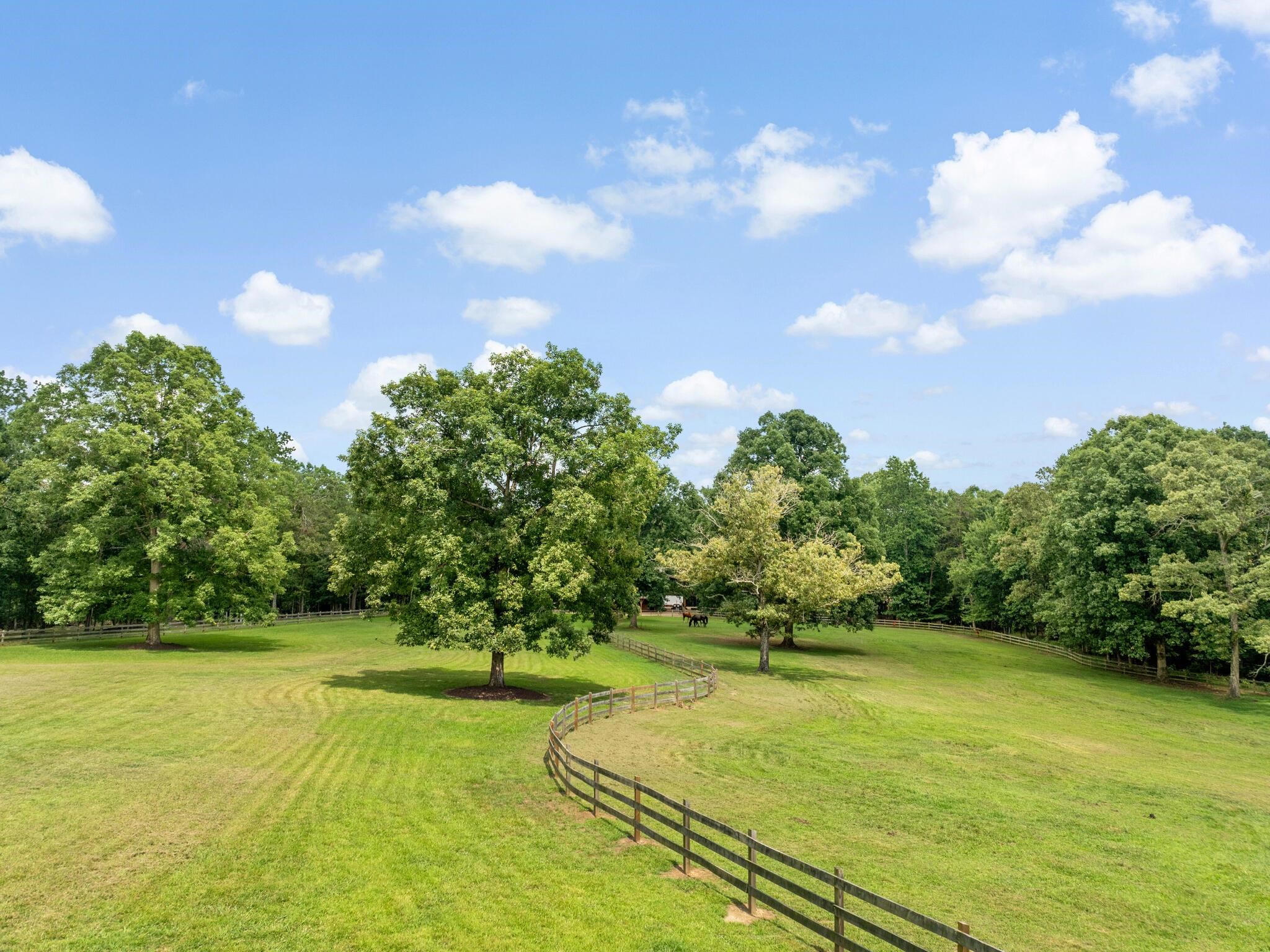 180 Kelseys Mill Road Campobello, SC 29322 - Photo 7 of 37
