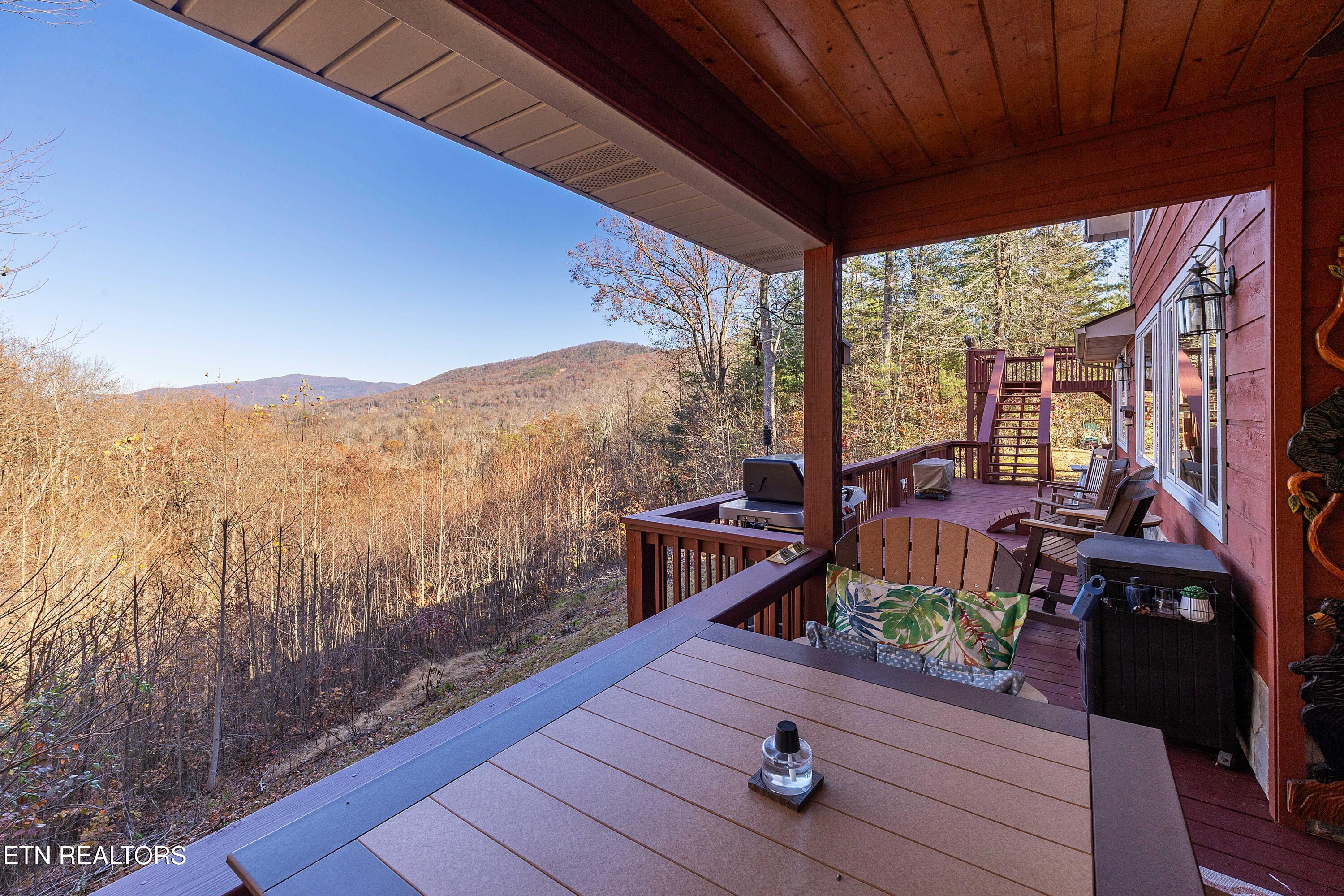 414 Gold Road Cosby, TN 37722 - Photo 7 of 58 L40A1410