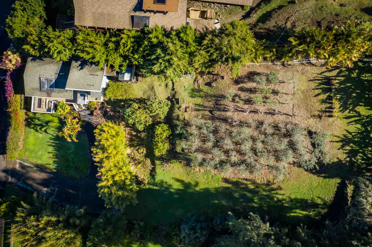 3515 Lower Kula Road Kula, HI 96790 - Photo 23 of 30