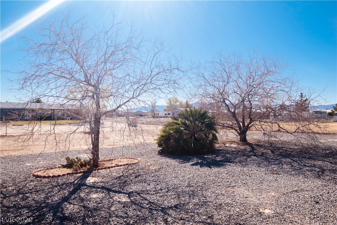 5561 Saddletree Road Pahrump, NV 89061 - Photo 39 of 45 Gallery Image 39
