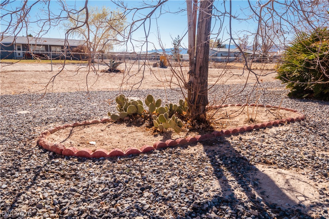 5561 Saddletree Road Pahrump, NV 89061 - Photo 40 of 45 Gallery Image 40