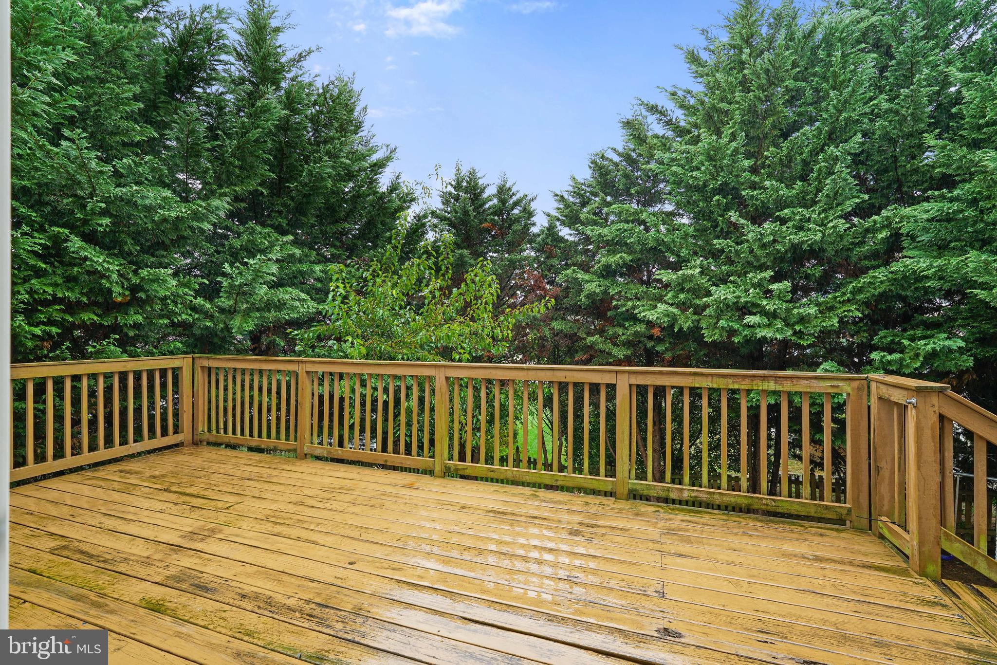 102 Broad Leaf Court Rising Sun, MD 21911 - Photo 20 of 24 Back deck off the kitchen