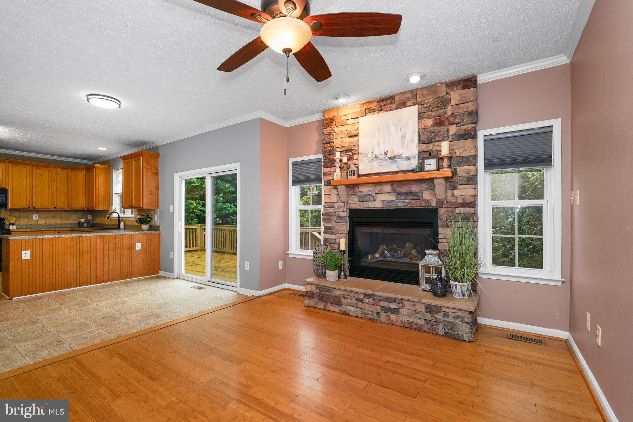 102 Broad Leaf Court Rising Sun, MD 21911 - Photo 6 of 24 Family room with gas fireplace