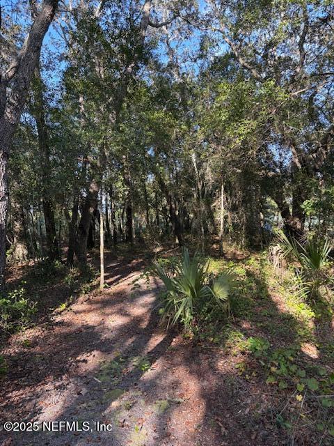 108 Robin Road Pomona Park, FL 32181 - Photo 5 of 28 IMG_4439