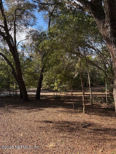 108 Robin Road Pomona Park, FL 32181 - Photo 9 of 28 IMG_4442