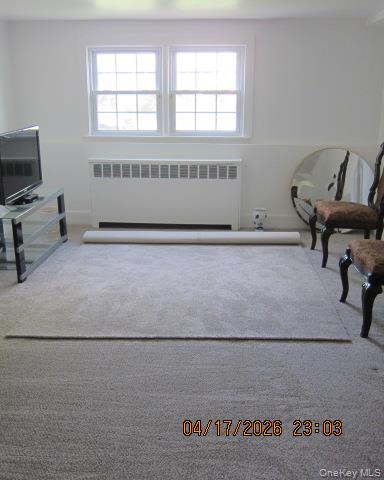 93 Woodview Road West Hempstead, NY 11552 - Photo 21 of 25