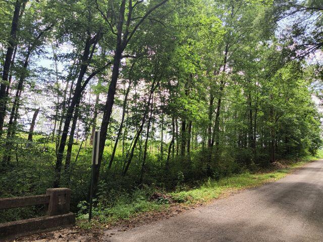 92 11 Foot Road Carbon Hill, AL 35549 - Photo 11 of 23 Gallery Image 11