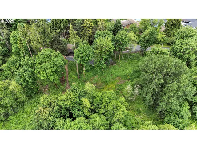 a upper view of a forest