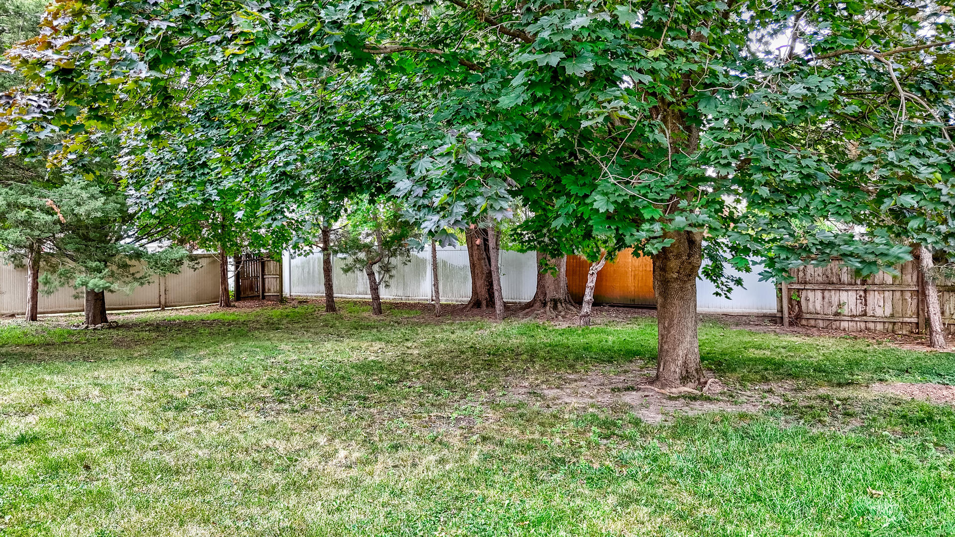 1001 4-H Road Ottawa, IL 61350 - Photo 22 of 25 a view of a backyard with large trees and plants