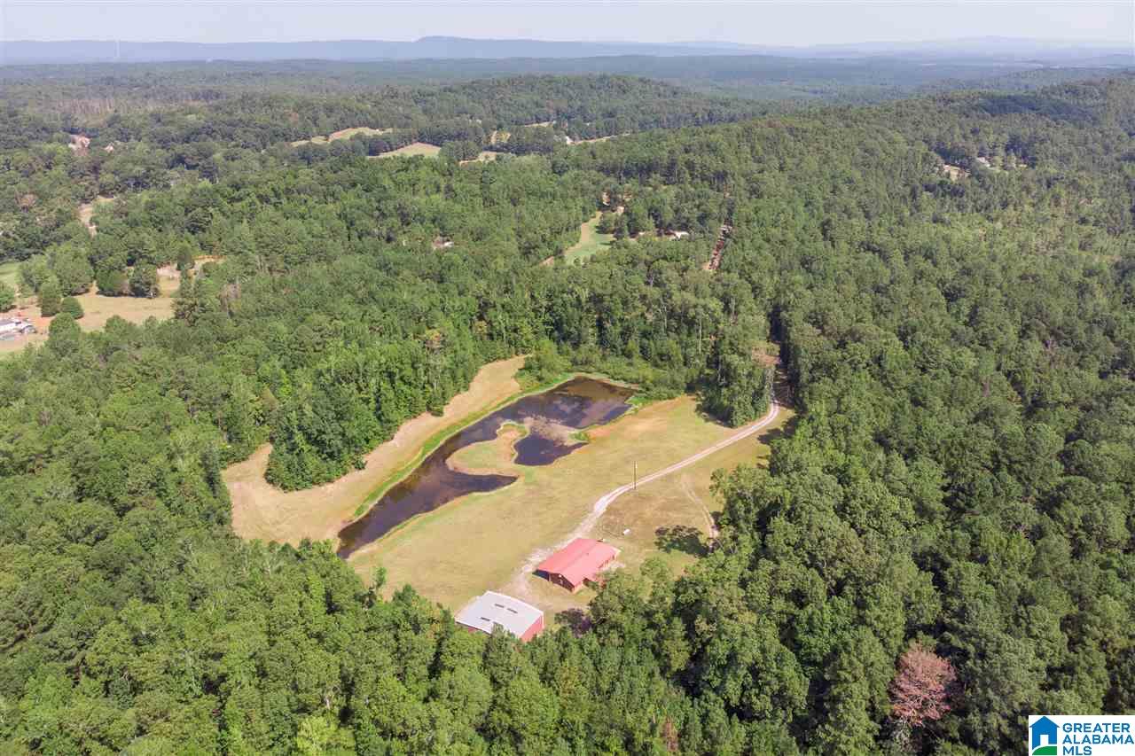 94 Rose Road Vincent, AL 35178 - Photo 35 of 40