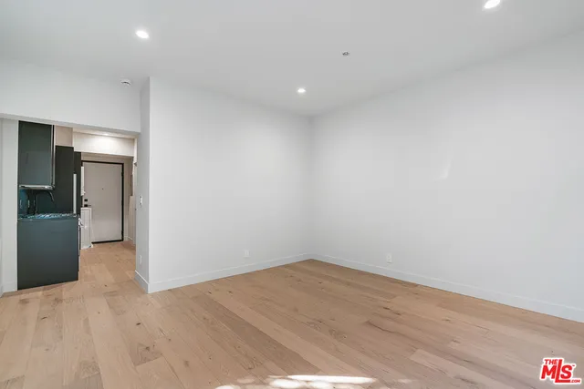a view of a big room with wooden floor and closet