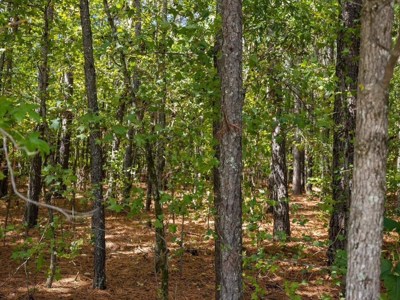 3404 Summerlin Road Durham, NC 27704 - Photo 29 of 33 Photo 29