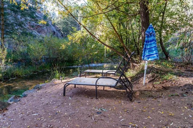 a view of a garden with plants and trees