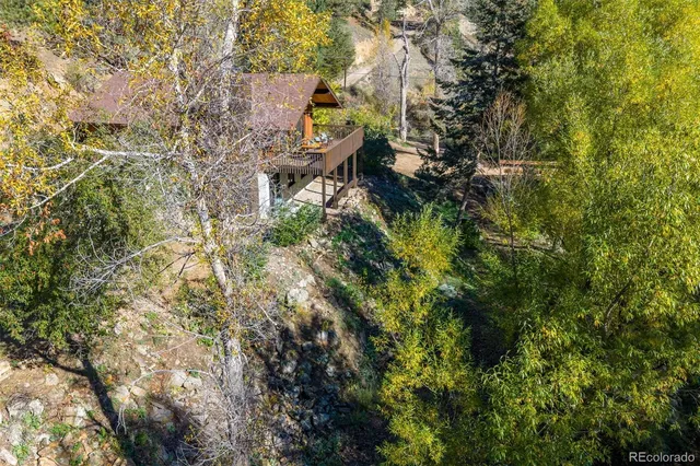 a view of a plants with yard